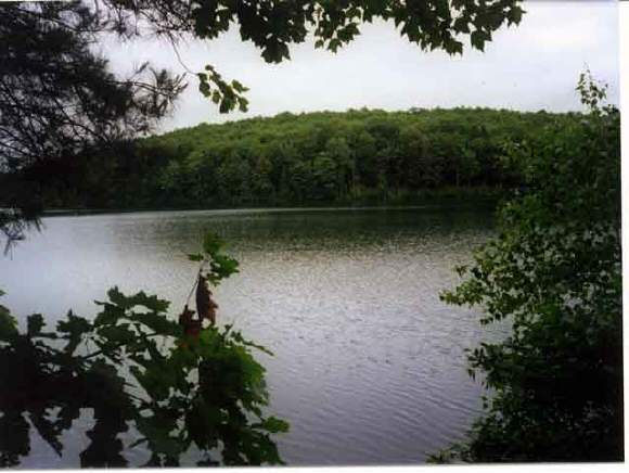 - Cunningham Pond Road Peterborough, NH 03458 - Photo 1 of 1