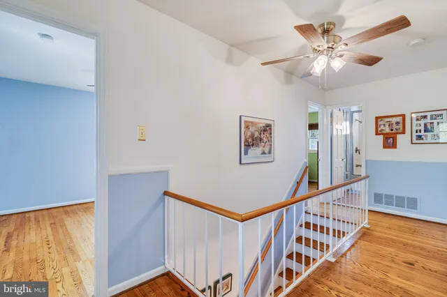 a view of a backyard with plants and potted plants