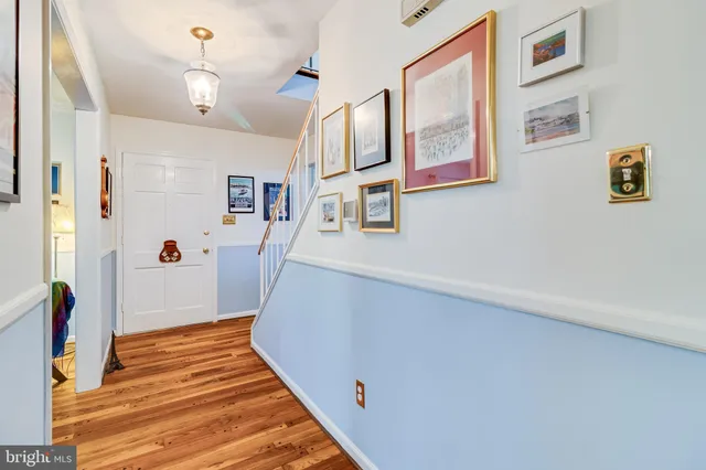 a view of outdoor space with trees all around