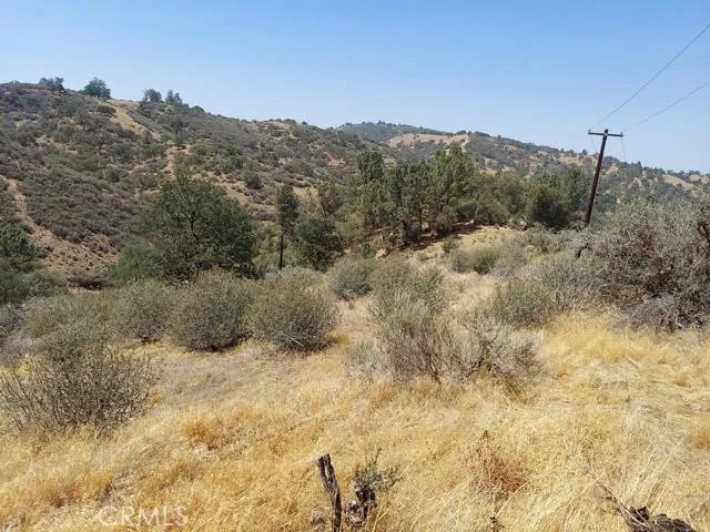 a view of a dry yard with mountains in the background