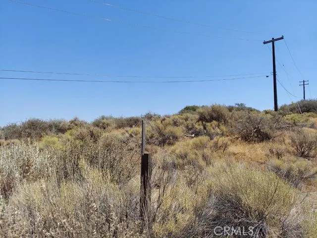 0 Fox Ridge Mountain Center, CA 92561 - Photo 4 of 5 a view of a dry yard