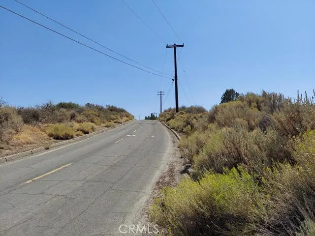 0 Fox Ridge Mountain Center, CA 92561 - Photo 5 of 5 a view of a dry yard with a tree