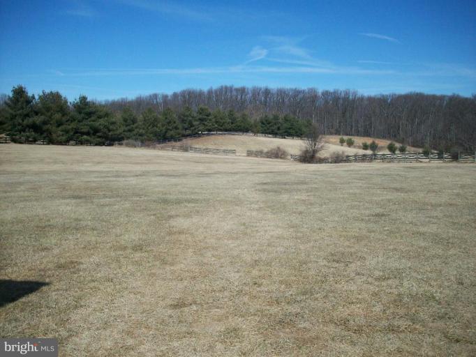 5913 Griffith Road Gaithersburg, MD 20882 - Photo 8 of 11 View from patio - over 3 acres