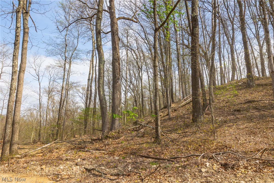 0 Twp Road, Unit 5 Whipple, OH 45788 - Photo 5 of 12