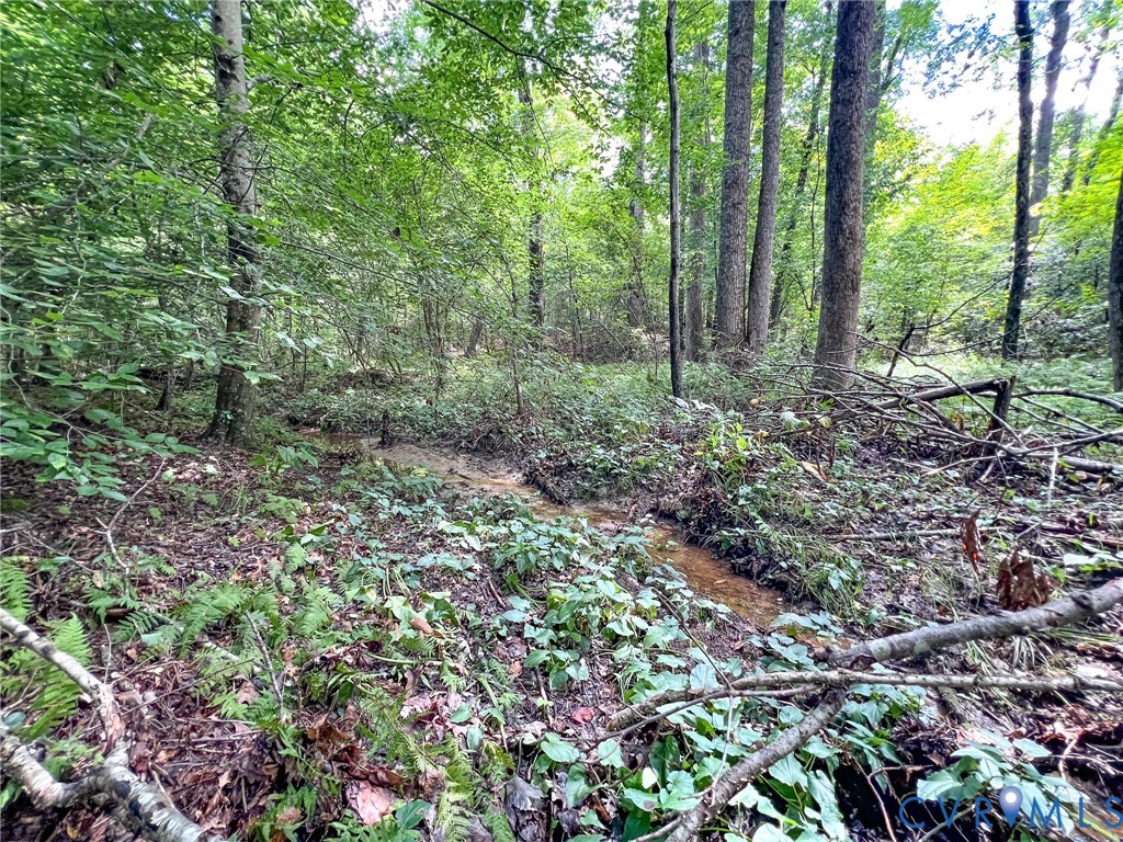 25.5-acres Ladysmith Road Ruther Glen, VA 22546 - Photo 22 of 42 Gallery Image 22