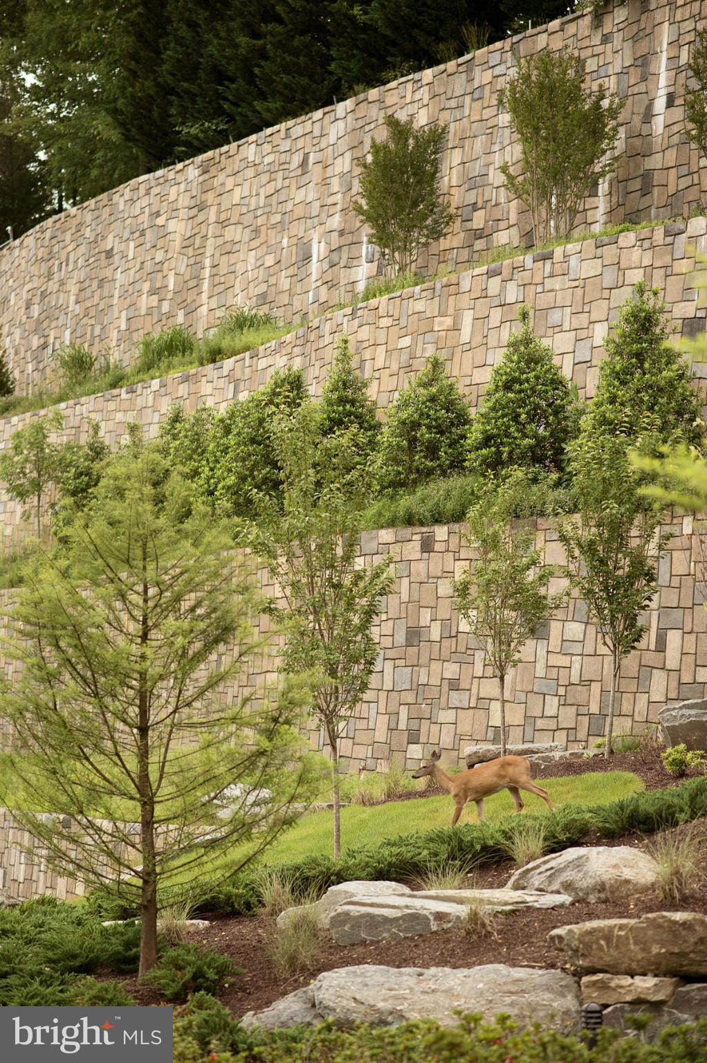 8121 River Road, Unit 442 Bethesda, MD 20817 - Photo 4 of 30 Exterior (General)