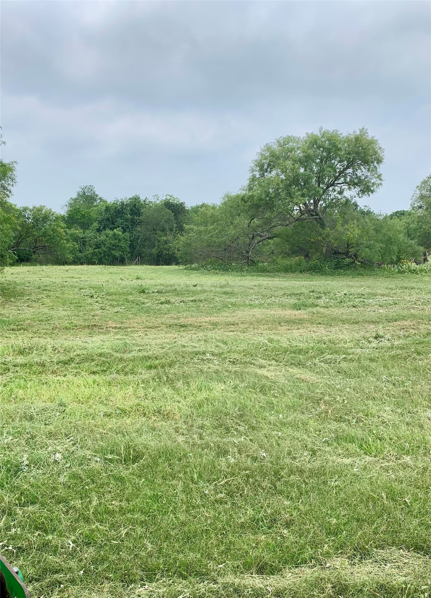 345 Pinn Road Lytle, TX 78052 - Photo 2 of 11 a view of outdoor space and yard