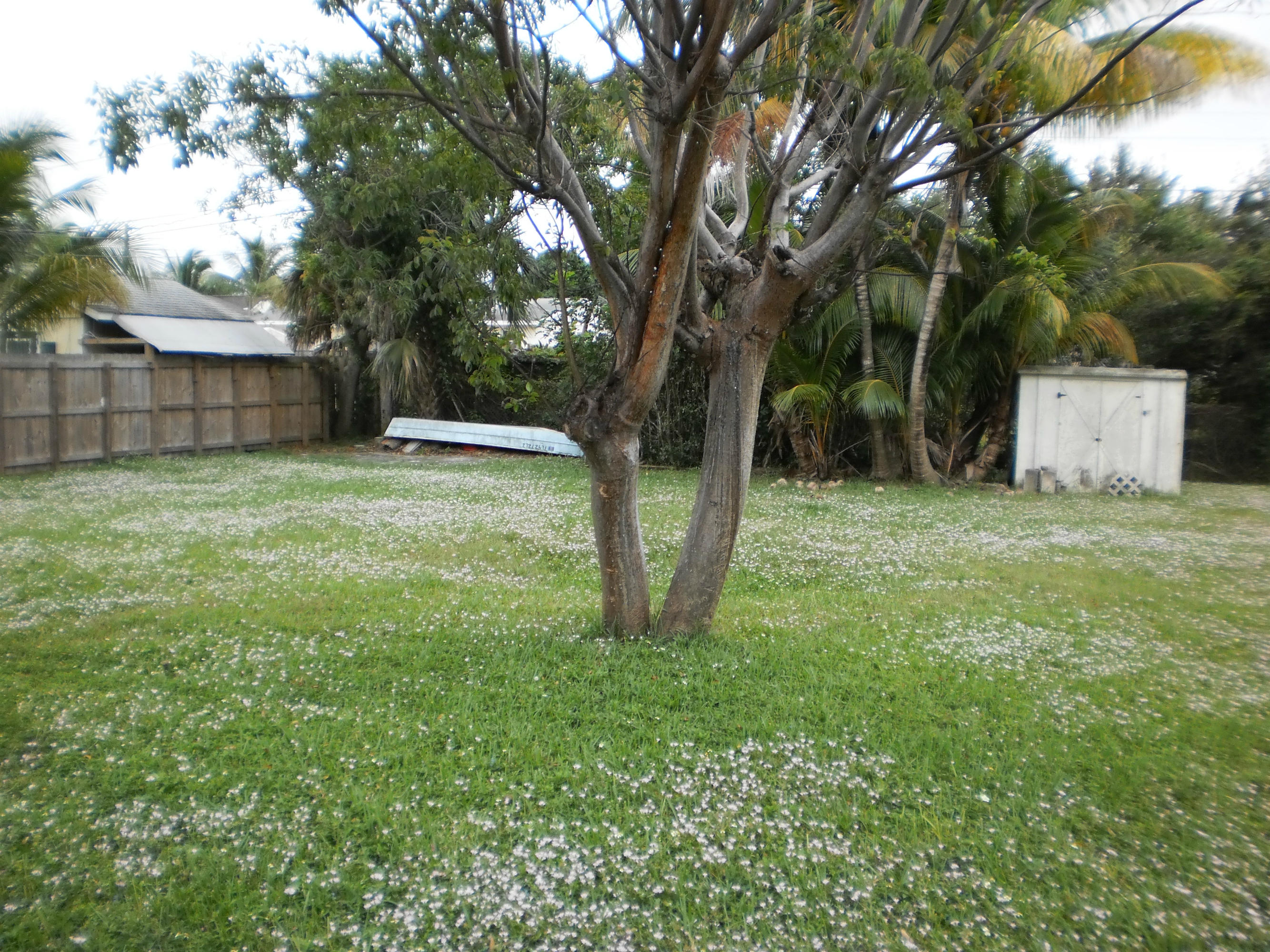 230 Northwest 10th Street Boca Raton, FL 33432 - Photo 10 of 15 P1010600