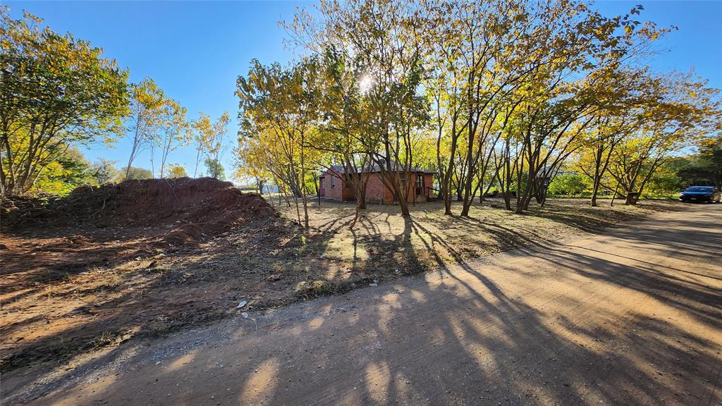 2518 Laney Road Denton, TX 76208 - Photo 4 of 12 a view of a yard with plants and trees