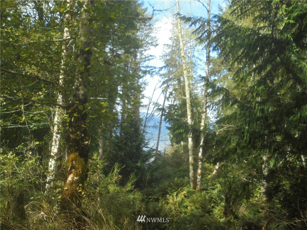 657 Payne Road Quilcene, WA 98376 - Photo 14 of 38 Gallery Image 14