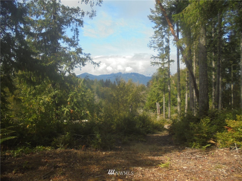 657 Payne Road Quilcene, WA 98376 - Photo 29 of 38 Gallery Image 29