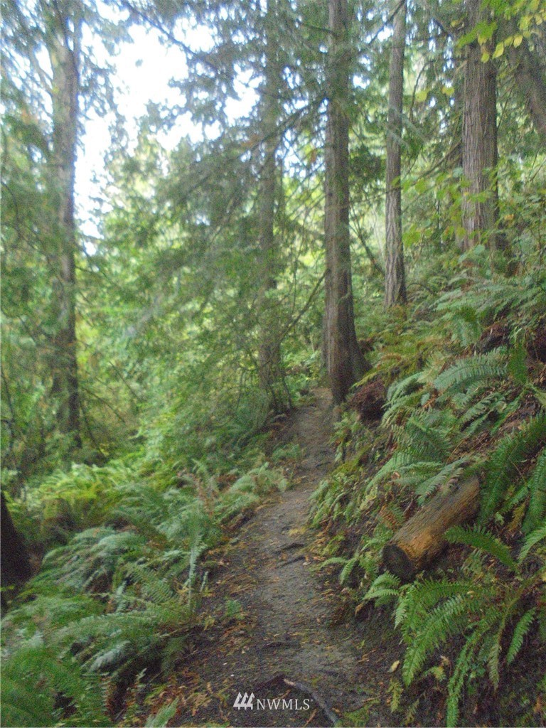 657 Payne Road Quilcene, WA 98376 - Photo 7 of 38 Gallery Image 7