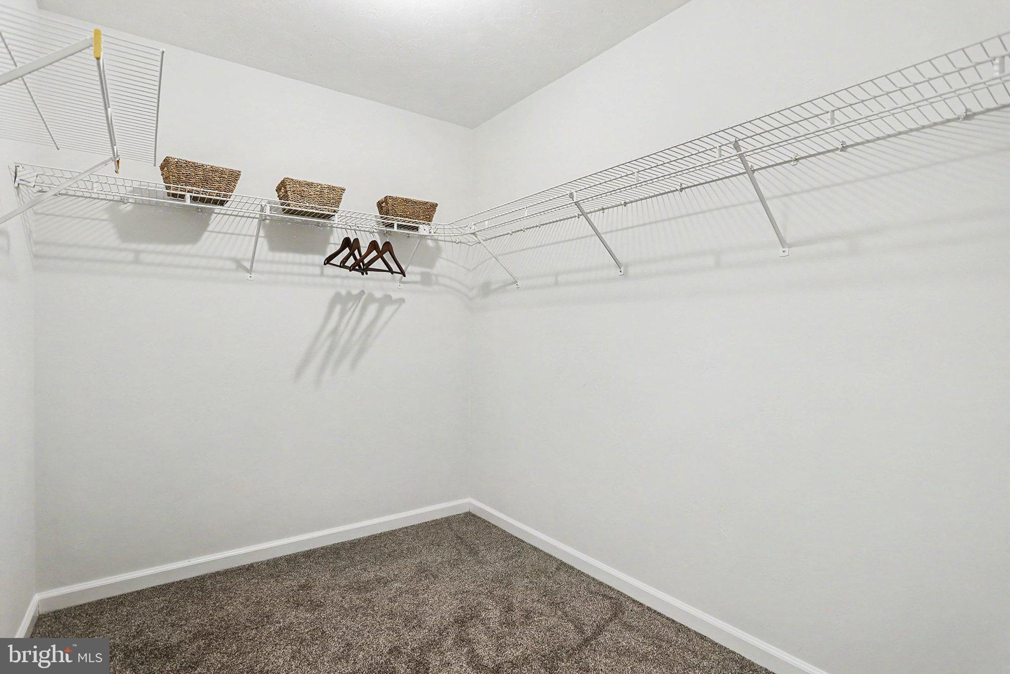 436 Springbrook Court, Unit E1 Hanover, PA 17331 - Photo 24 of 36 Primary Walk-In Closet
