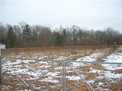 70683 Cr 37 Covert Mi 49643 Covert, MI 49043 - Photo 2 of 7 Additional Photo