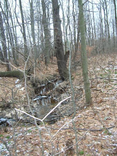 70683 Cr 37 Covert Mi 49643 Covert, MI 49043 - Photo 5 of 7 Additional Photo