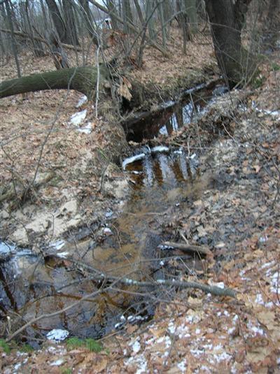 70683 Cr 37 Covert Mi 49643 Covert, MI 49043 - Photo 6 of 7 Additional Photo