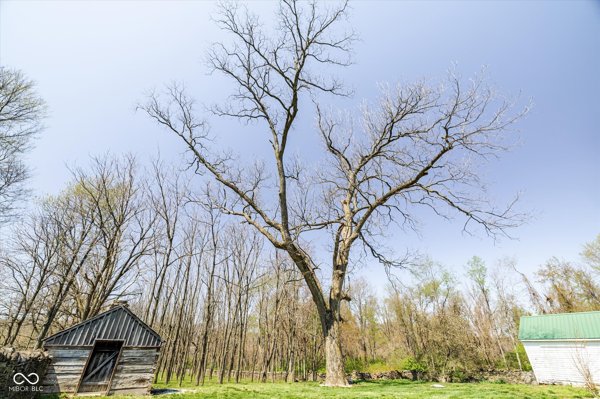 4595 North Maple Grove Road Bloomington, IN 47404 - Photo 103 of 120