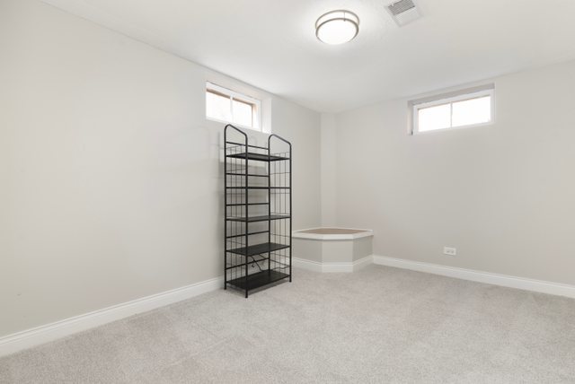 230 Chester Avenue Park Ridge, IL 60068 - Photo 29 of 44 Gallery Image 29