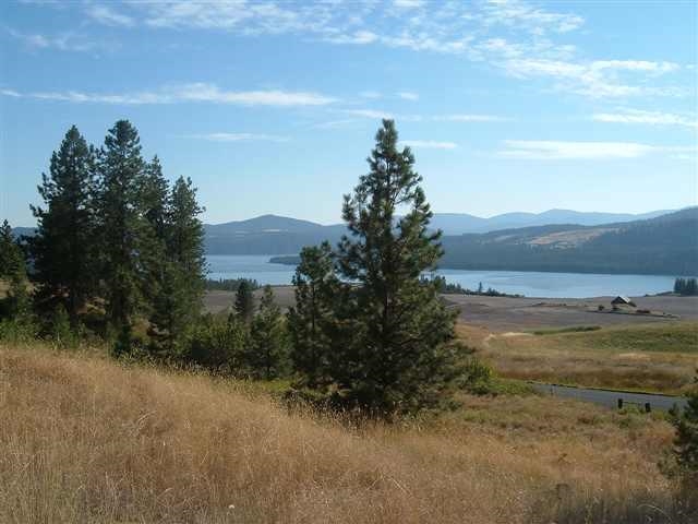 51-xx Lantzy Road Hunters, WA 99137 - Photo 13 of 16