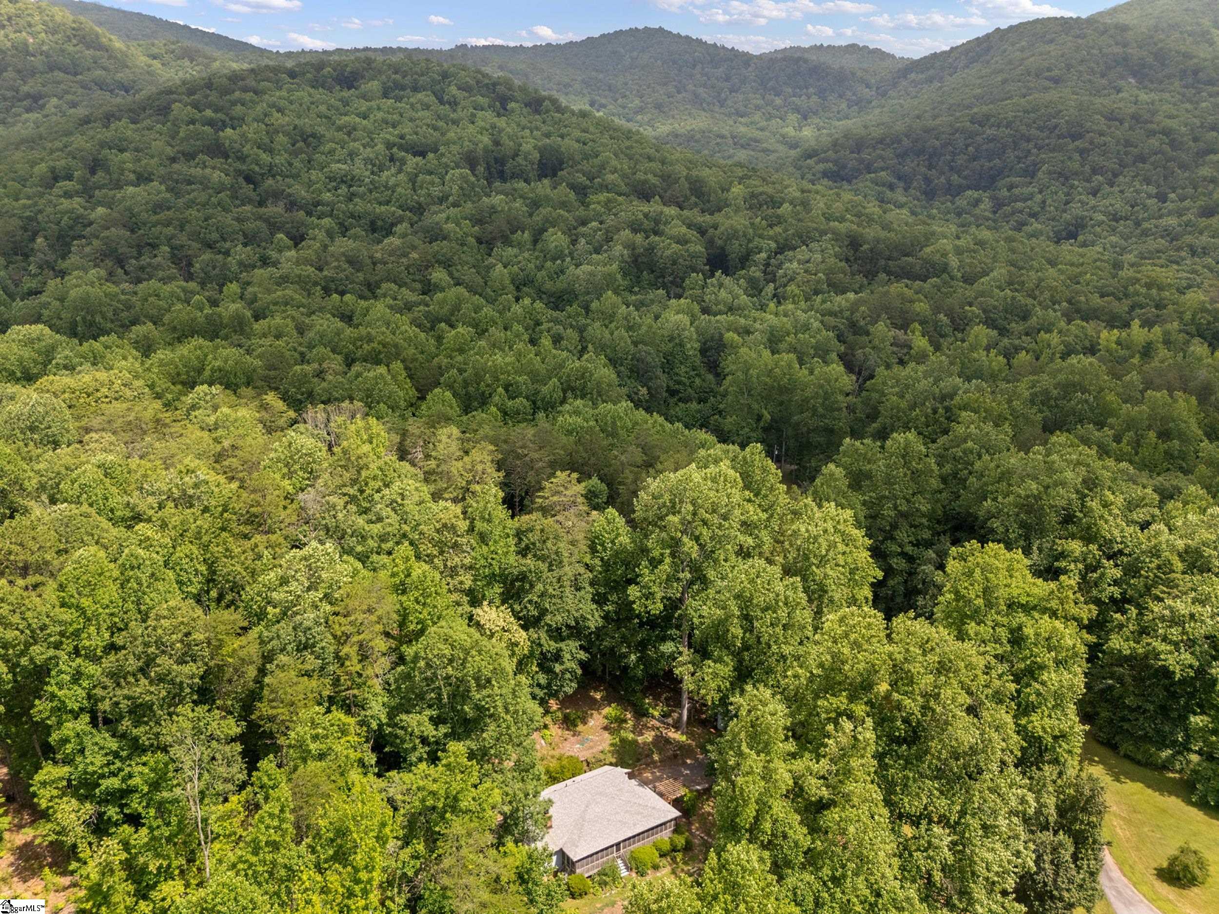 741 Gap Creek Road Marietta, SC 29661 - Photo 33 of 38