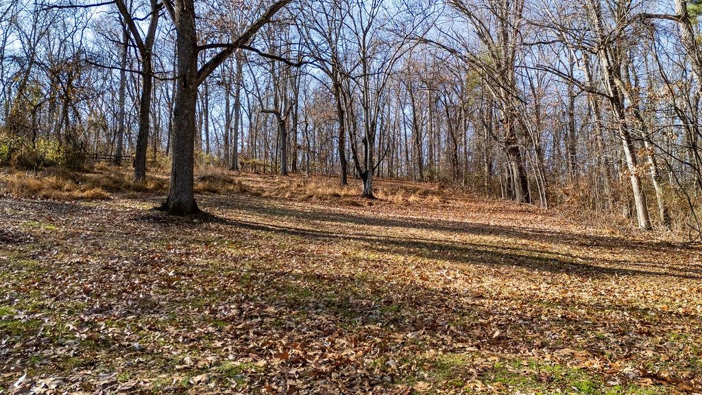 115 Old Hermitage Road Waynesboro, VA 22980 - Photo 46 of 63 a view of park space