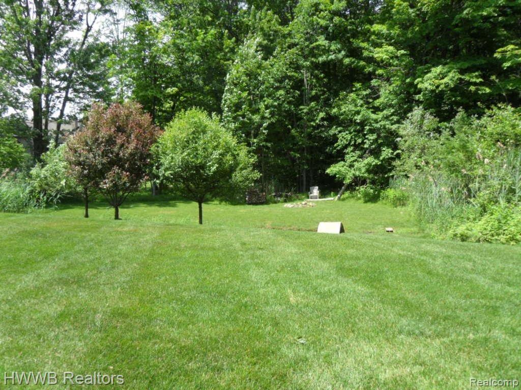 62667 Mt Vernon Road Washington, MI 48094 - Photo 4 of 25 04-Back Yard