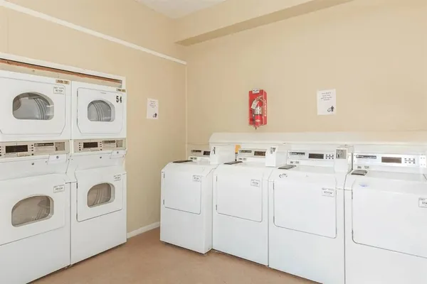 $1,260 | 8110 Creekbend Drive, Unit 509, Houston, TX 77071