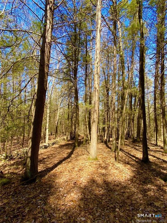43 Baker Road Roxbury, CT 06783 - Photo 10 of 17 Gallery Image 10
