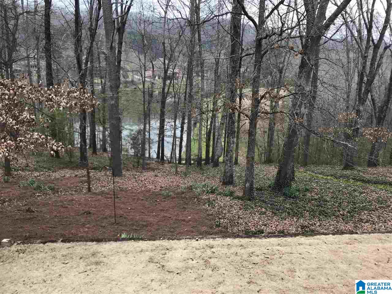 320 Macdonald Lake Road Springville, AL 35146 - Photo 4 of 34