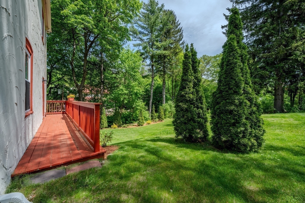 7 Argyle Street Worcester, MA 01609 - Photo 36 of 41 a view of a backyard with plants