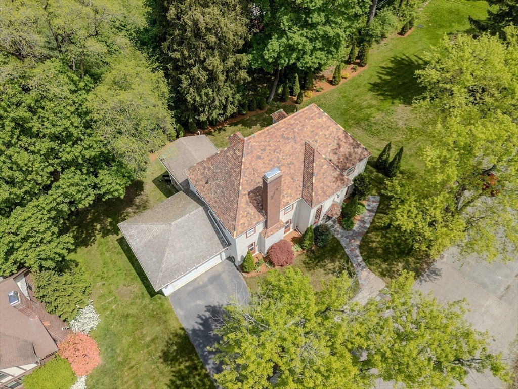 7 Argyle Street Worcester, MA 01609 - Photo 8 of 41 an aerial view of a house with a yard and large trees