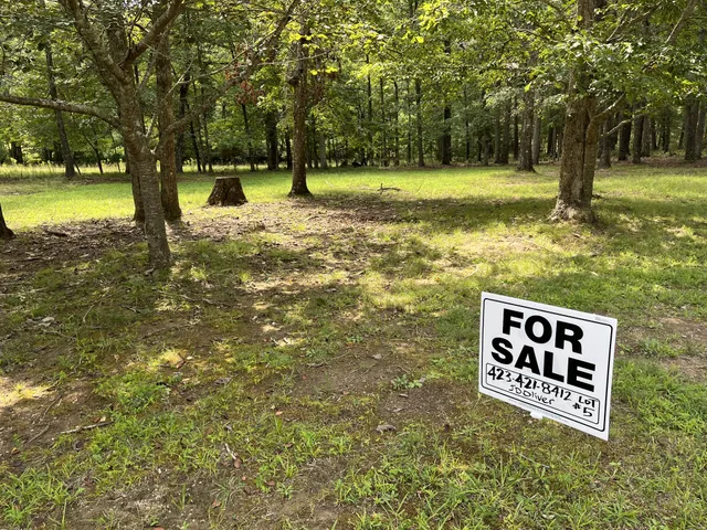 a view of yard with trees