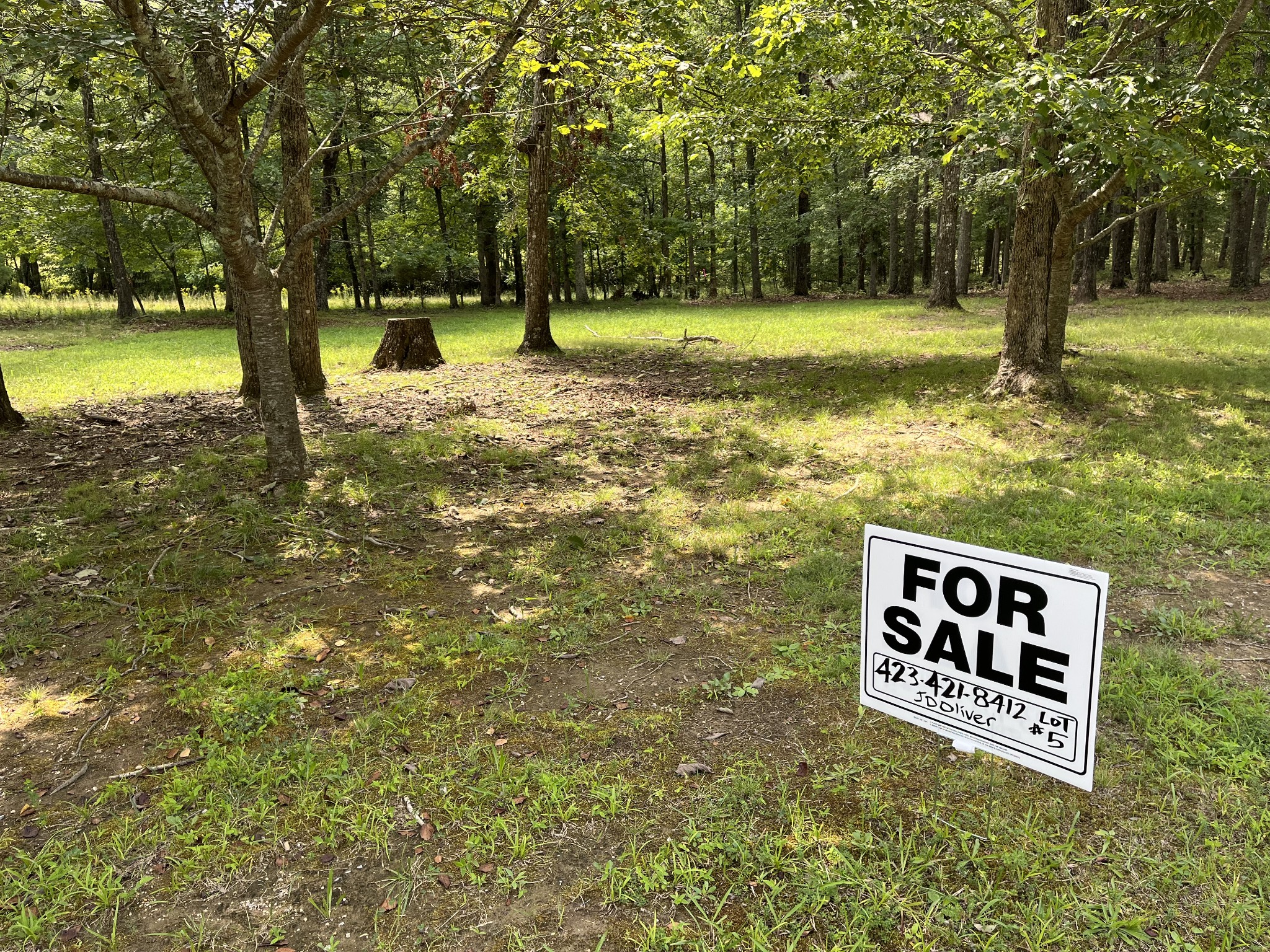 a view of yard with trees