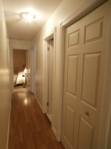 6351 Tyrrell Road Laingsburg, MI 48848 - Photo 13 of 38 31335419-12.JPG