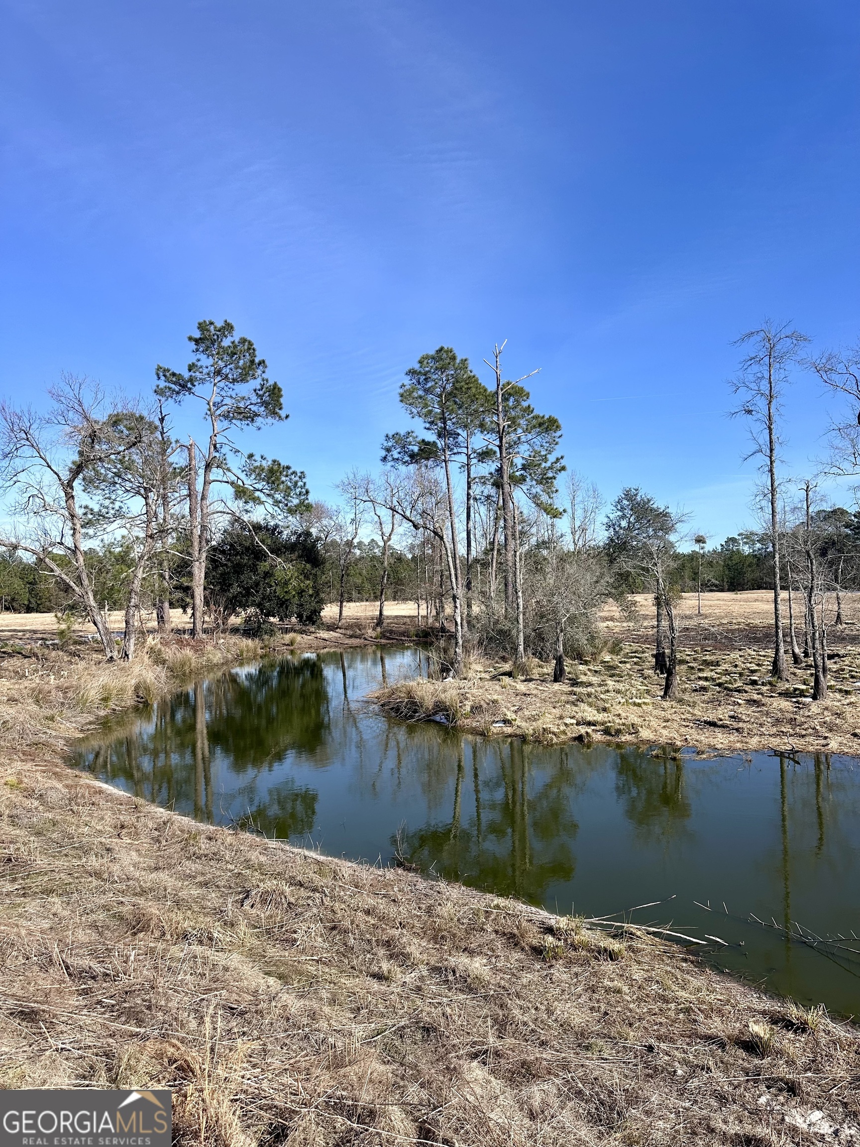 1399 Wildwood Church Road Pembroke, GA 31321 - Photo 1 of 10