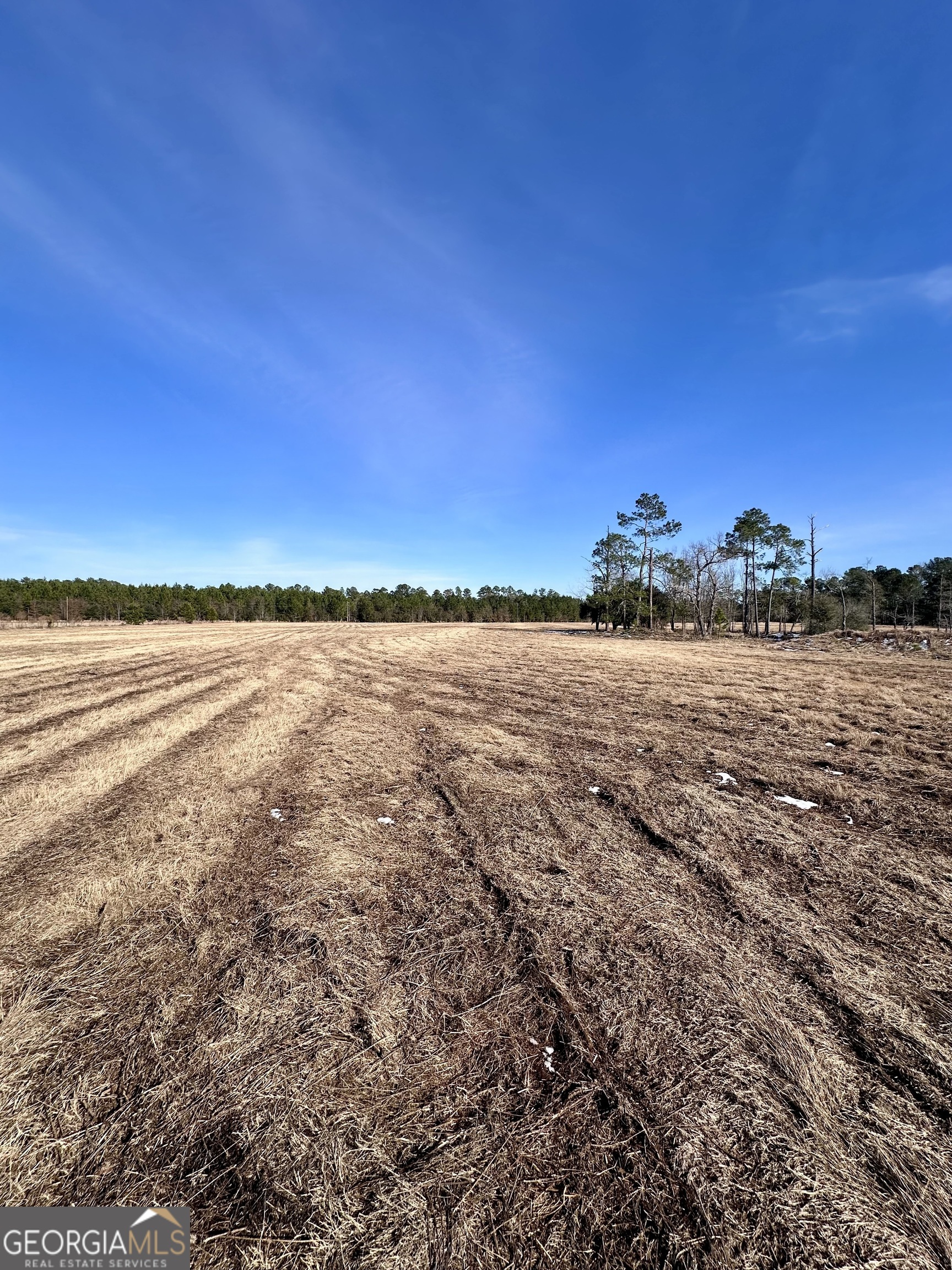 1399 Wildwood Church Road Pembroke, GA 31321 - Photo 5 of 10