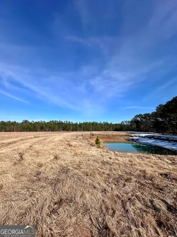 $1,750,000 | 1399 Wildwood Church Road, Pembroke, GA 31321