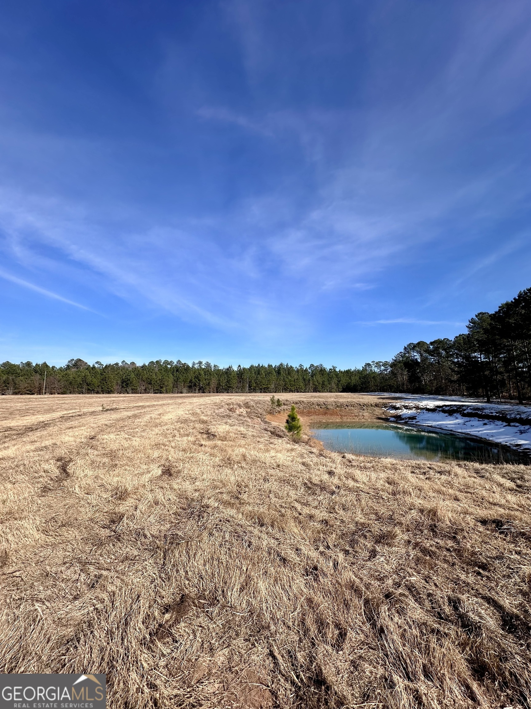 1399 Wildwood Church Road Pembroke, GA 31321 - Photo 8 of 10