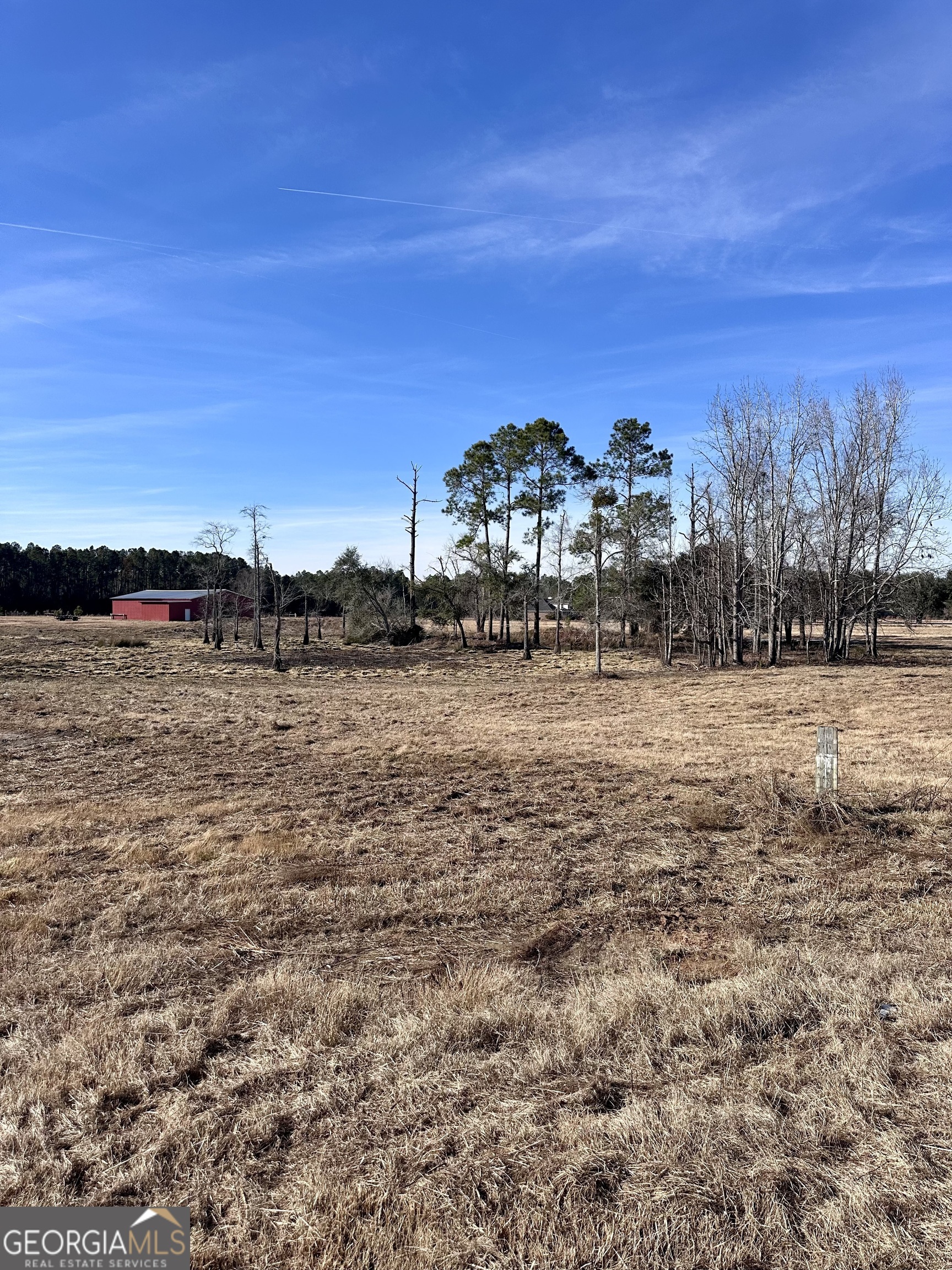 1399 Wildwood Church Road Pembroke, GA 31321 - Photo 9 of 10