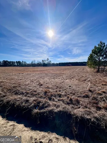 $1,750,000 | 1399 Wildwood Church Road, Pembroke, GA 31321