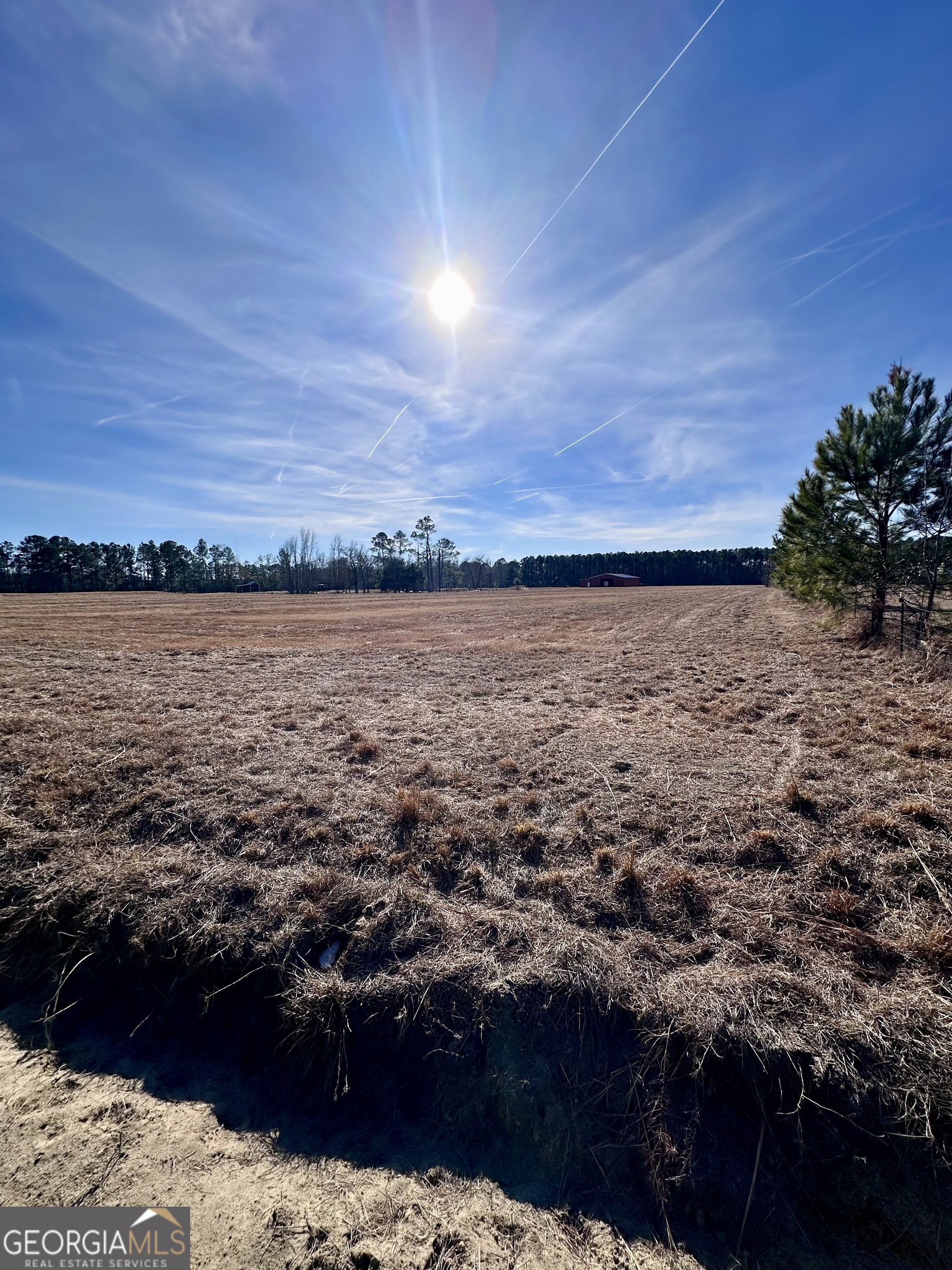 1399 Wildwood Church Road Pembroke, GA 31321 - Photo 10 of 10