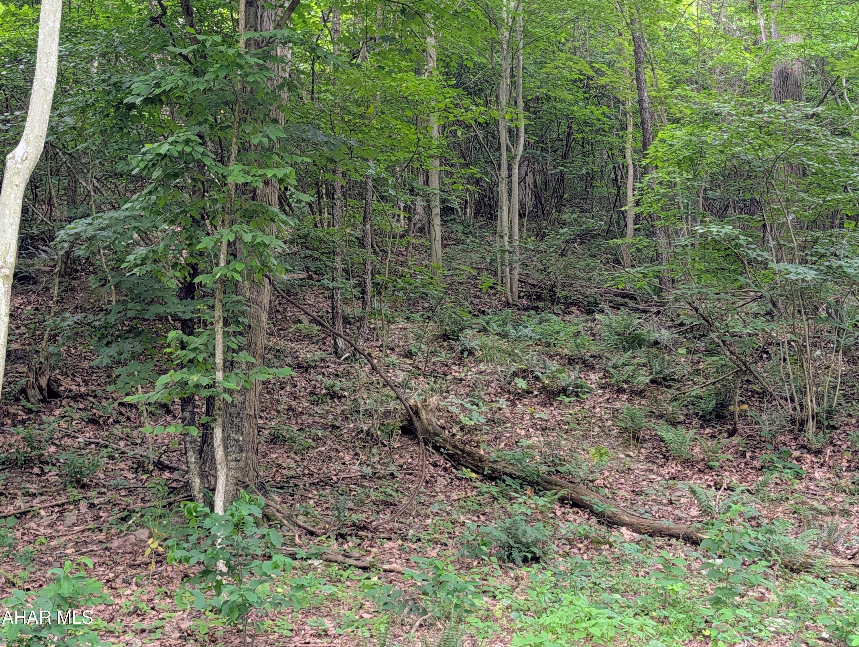 587 Point Road Bedford, PA 15522 - Photo 84 of 92