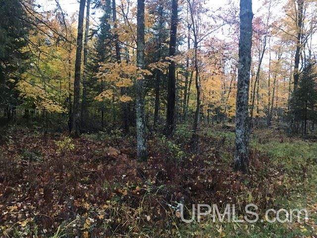 Tbd Bates-Amasa Road Iron River, MI 49935 - Photo 5 of 9