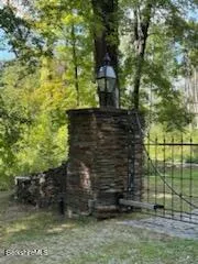 a view of a backyard with large trees