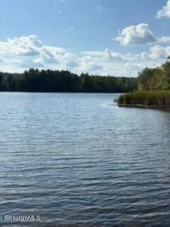 a view of swimming pool with lounge chair