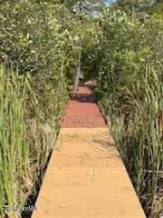 a view of a yard with a building