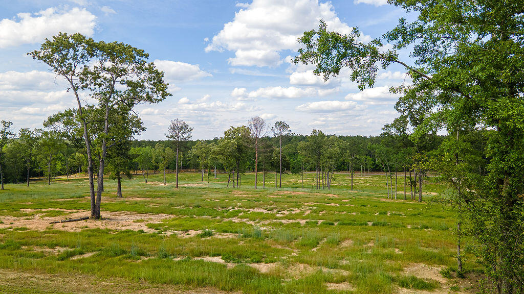 793 Flowing Well Road Wagener, SC 29164 - Photo 50 of 61