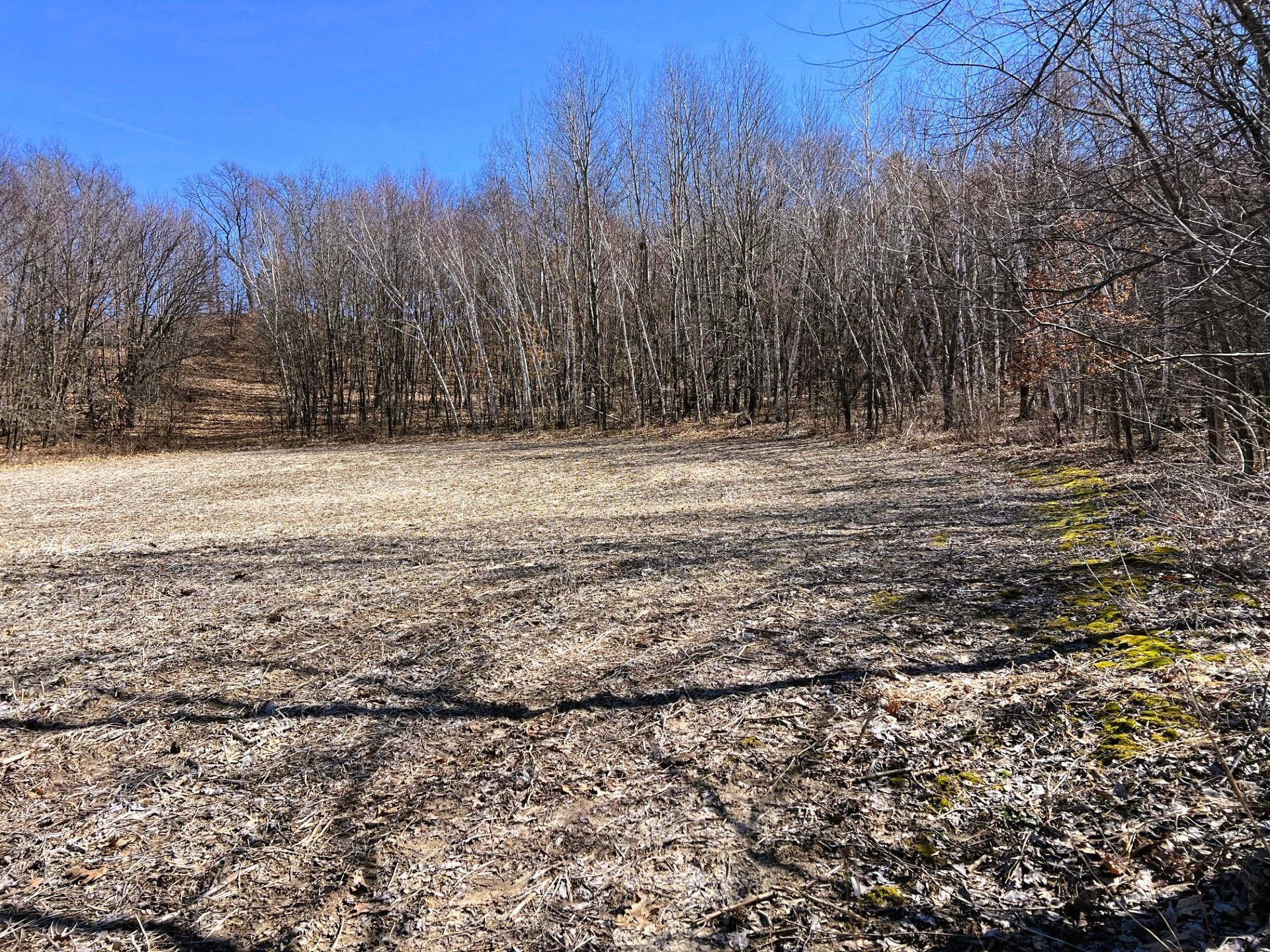 0 Pete Coulee Road Taylor, WI 54659 - Photo 25 of 49