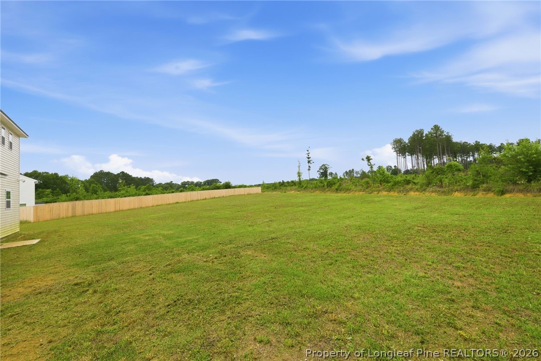 179 Palomo Place Raeford, NC 28376 - Photo 6 of 21