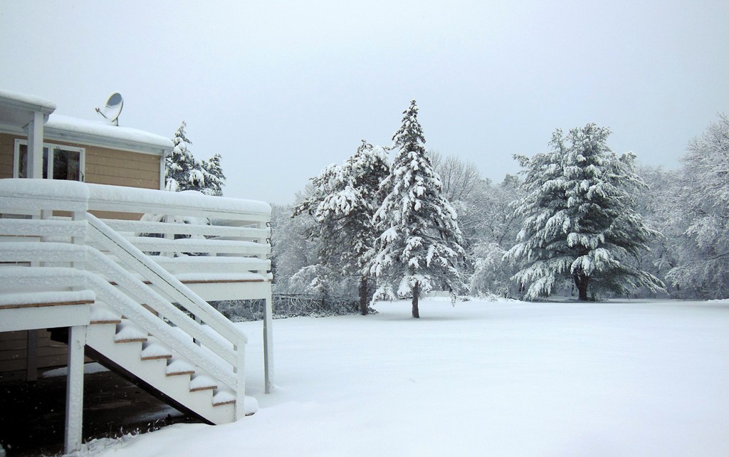3 Old Stagecoach Road Bedford, MA 01730 - Photo 2 of 18